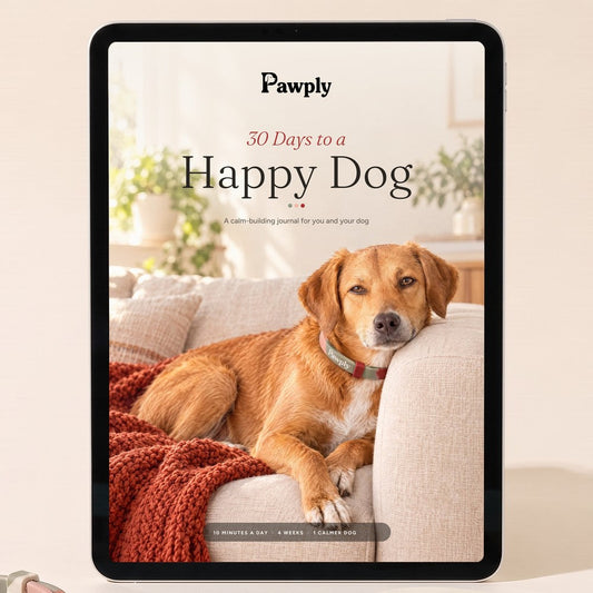 30 Days to a Happy Dog guide on a tablet