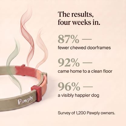 TriComfort Collar™