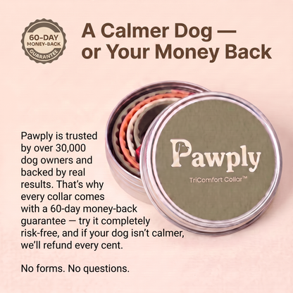 Special Offer — Save $15.90