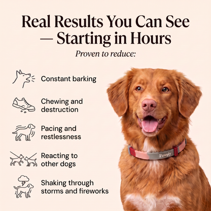 Special Offer — Save $15.90
