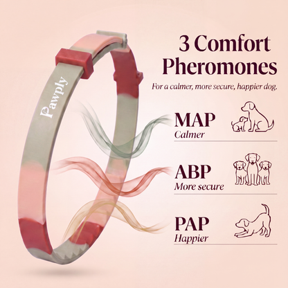 TriComfort Collar