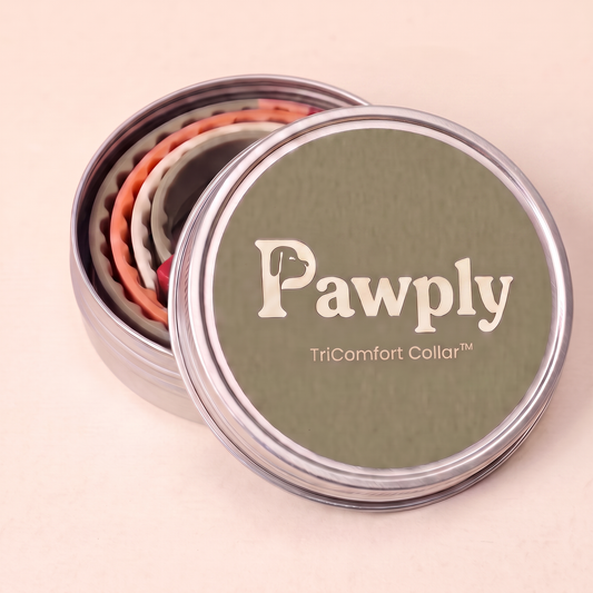 Special Offer — Save $15.90
