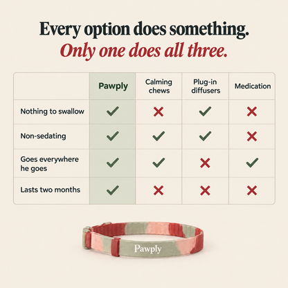 Pawply compared with calming chews, plug-in diffusers and medication