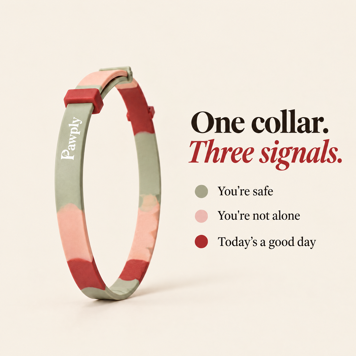 The Pawply collar — one collar, three signals: you're safe, you're not alone, today's a good day