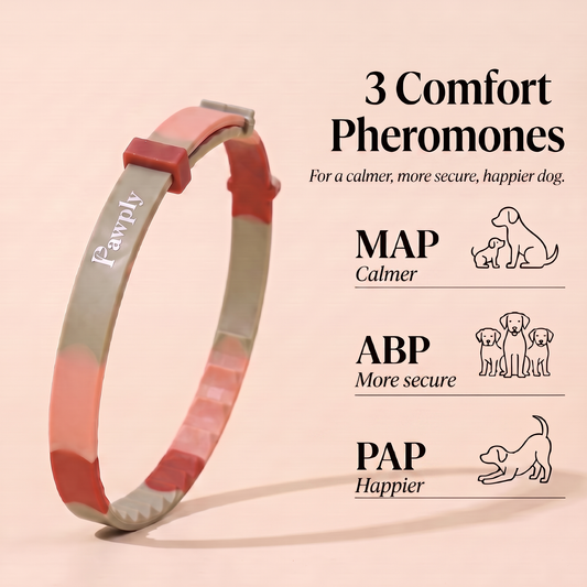 TriComfort Collar™